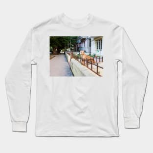 Dog in Havana Long Sleeve T-Shirt